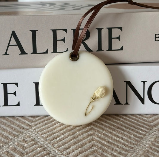 Pack - Vanilla Sweet Musk