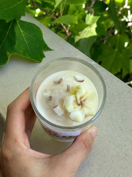 Coco Tropical